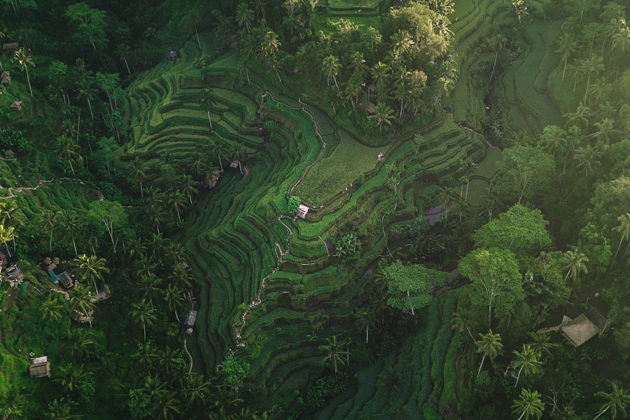 10 unforgettable places to discover in Bali