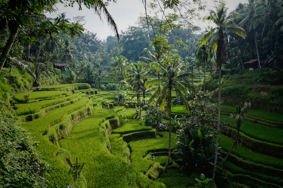 Bali All-Inclusive Getaway