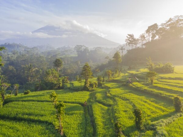 Bali Sunrise Jeep Adventure