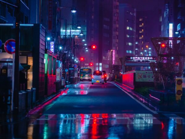 Tokyo Food & Culture Walk